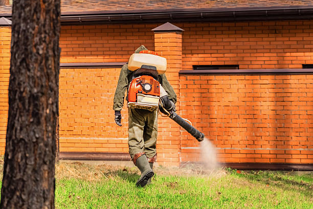 Trusted Emergency Pest Control service in Waynesburg, OH - Nex Pest Control